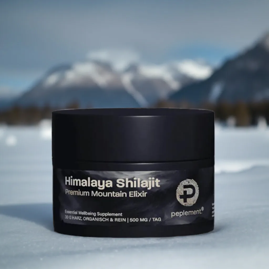 Résine de Shilajit de l'Himalaya
